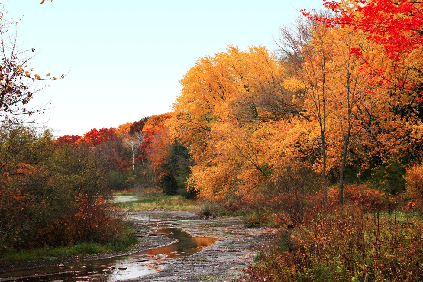 Wisconsin’s Gorgeous Fall Colors | Snapshots