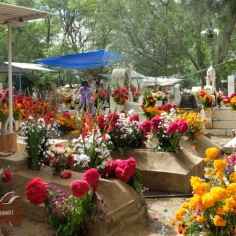 A panoramic view of the cemetery at San Antonín.