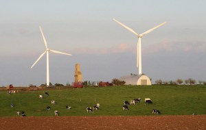 Large wind turbines framed against the sky with a small of Holstein dairy cows grazing in the foreground.